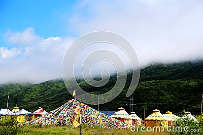 The Alpine Grassland scenery on the Qinghai Tibet Plateau Stock Photo