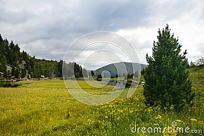 Alpine lake and mountain landscape with meadow and spruce and pine trees Stock Photo