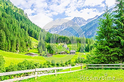 Alpine landscape and green meadows Alps, Austria Stock Photo