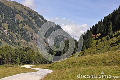 Alpine Landscape with guesthouse, Austria, Europe Stock Photo