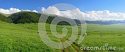 Alpine meadow at Asy Plateau Stock Photo