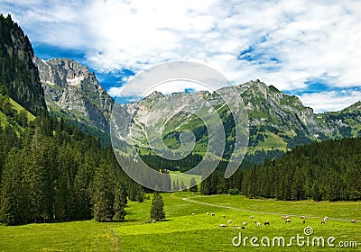 Alpine meadow in Switzerland Stock Photo