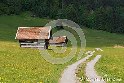 Alpine meadow with wildflowers, wooden hay huts and walkway Stock Photo