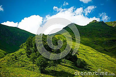 Racing in dunes Stock Photo