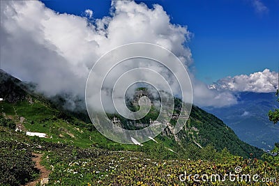 Alpine meadows in the Caucasus Mountains. The path winds among flowering rhododendrons. Stock Photo