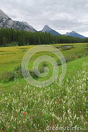 Alpine meadows and mountains Stock Photo