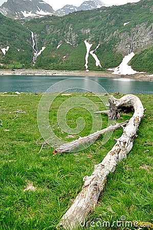 Alpine mountain lake tree trunk Stock Photo