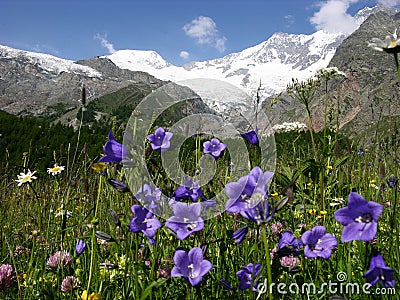 Alpine scene Stock Photo