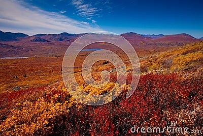 Alpine tundra Stock Photo