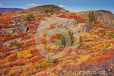 Alpine tundra Stock Photo
