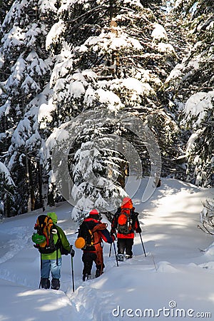 Alpinists Stock Photo