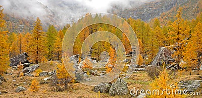 Alps autumn landscape Stock Photo