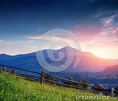 Alps mountain meadow tranquil summer view Stock Photo