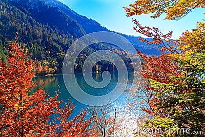Alpsee lake.Bavaria, Germany Stock Photo