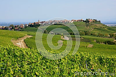 Alsace landscape Stock Photo