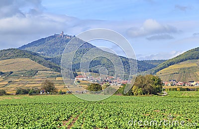 Alsace landscape near village Orschwiller Stock Photo