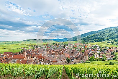 Alsace village, vineyard, Riquewhir, France, Europe, Automn Stock Photo