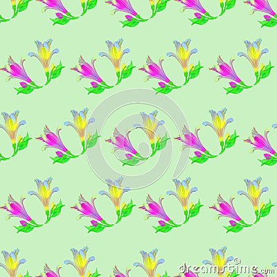 Alstroemeria. Seamless pattern texture of flowers. Floral background, photo collage Stock Photo