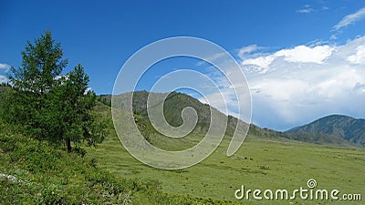 Altai. Beauty Central Altai. Stock Photo