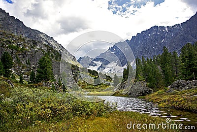 Altai Creek Stock Photo