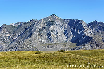 The Altai mountains, the White cliffs Stock Photo
