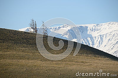 View of the North Chui mountain snow-covered ridge from the Kurai steppe. Gorny Altai, Kosh-Agachsky district, Russia Stock Photo
