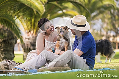 Alternative animal love family couple play with young puppy shetland collie on the meadow in a park - playful people with dogs Stock Photo
