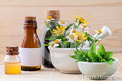 Alternative health care fresh herbal ,honey and wild flower with Stock Photo