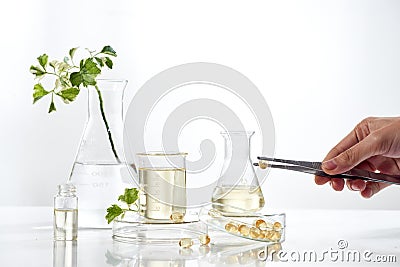 Alternative herb medicine. herbal vitamin on white background Stock Photo