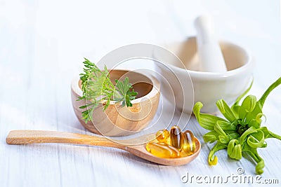 Alternative medicine herbal organic capsule with vitamin E omega 3 fish oil, mineral, drug with herbs leaf natural supplements for Stock Photo