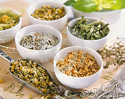 Alternative Medicine. Herbal Therapy. Healing plants. Stock Photo