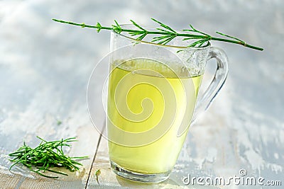 Alternative Medicine. Herbal Therapy. Horsetail infusion in glass cup. grey background Stock Photo