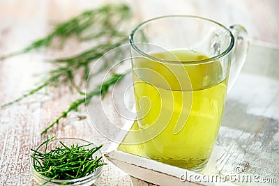 Alternative Medicine. Herbal Therapy. Horsetail infusion in glass cup. grey background Stock Photo