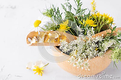 Alternative medicine, naturopathy and dietary supplement. Herbal remedy in capsules and plants Stock Photo