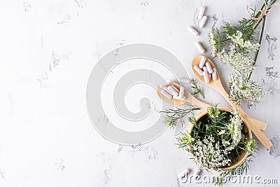 Alternative medicine, naturopathy and dietary supplement. Herbal remedy in capsules and plants Stock Photo