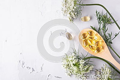 Alternative medicine, naturopathy and dietary supplement. Herbal remedy in capsules and plants Stock Photo