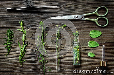 Alternative medicine. Store up medicinal herbs. Herbs on wooden table background Stock Photo