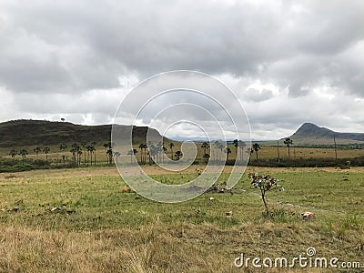 Maytrea Garden Stock Photo