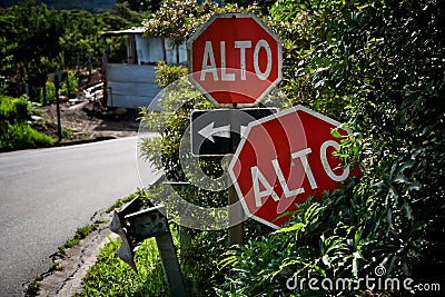 Alto or Stop signs Stock Photo