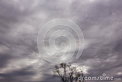 Altostratus undulatus clouds Stock Photo