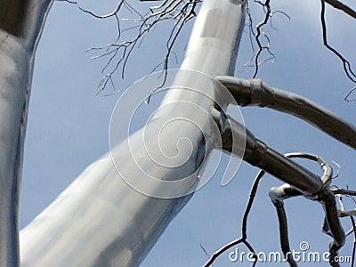 Aluminum metal tree Stock Photo