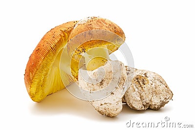 Amanita caesarea on white background Stock Photo