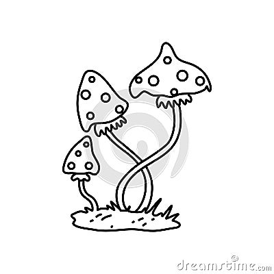 Amanita fly agaric poisonous mushroom Vector Illustration