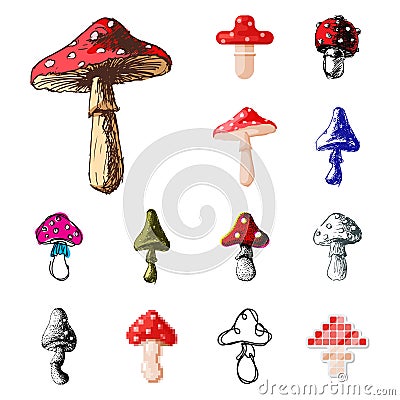 Amanita fly agaric toadstool mushrooms fungus different art style design vector illustration red hat Vector Illustration