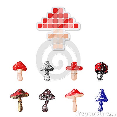 Amanita fly agaric toadstool mushrooms fungus different art style design vector illustration red hat Vector Illustration