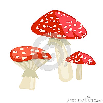 Amanita muscaria mushroom icon. Cartoon illustration of toadstool vector for web design Vector Illustration