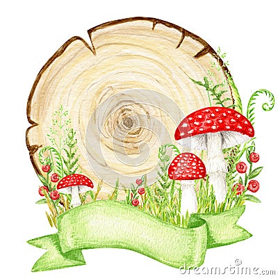 Amanita muscaria watercolor wooden signboard frame with ribbon banner, Fly agaric mushroom with grass, wood banners Stock Photo