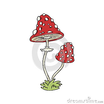 Amanita mushroom colorful sticker doodle. Vector image Vector Illustration