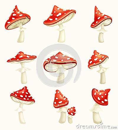 Amanita mushrooms set. Poisonous toadstool fly agaric cartoon vector illustration Vector Illustration