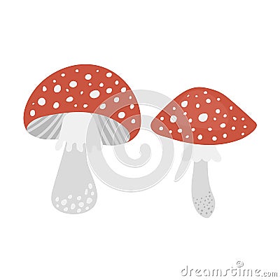 Amanita poisonous mushroom Vector Illustration